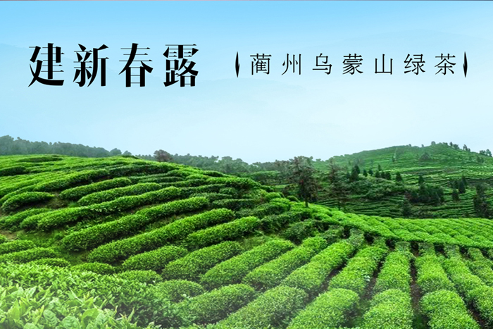 奢府茗茶