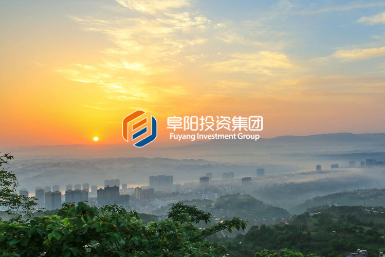 阜阳集团